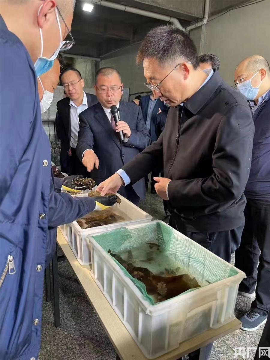刘宁到大连长海县庄河市普兰店区调研