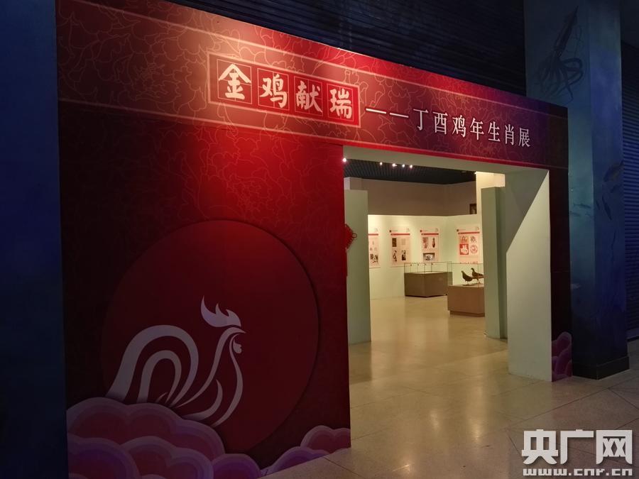 大连自然博物馆春节推出金鸡献瑞鸡年生肖展