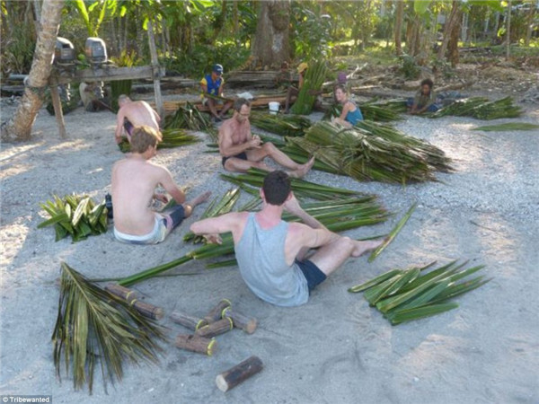 验热带岛屿生活？巴布亚新几内亚招志愿者采摘椰子