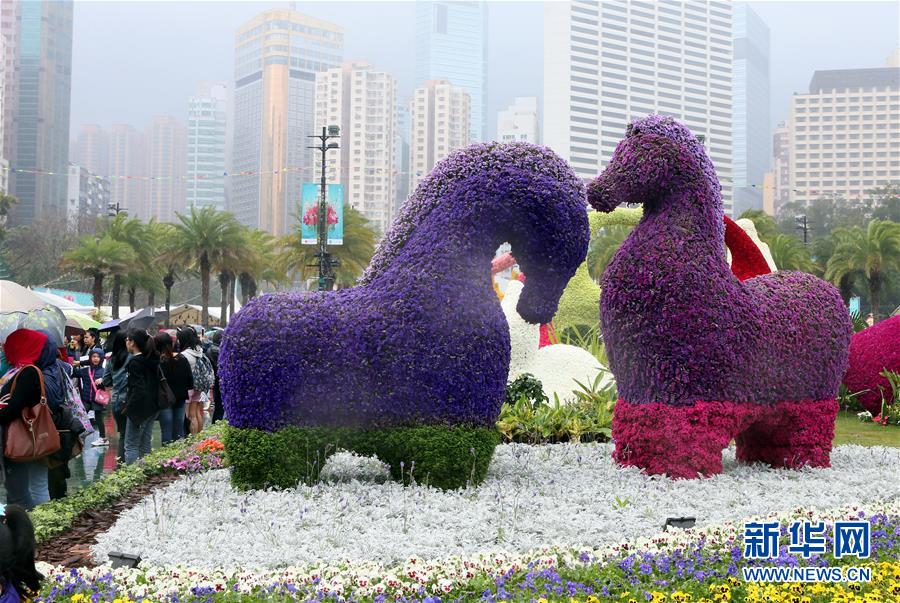 香港花卉展落幕 观众雨中赏花雾里看花