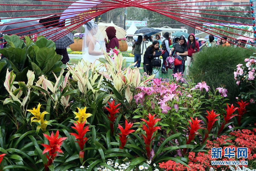 香港花卉展落幕 观众雨中赏花雾里看花