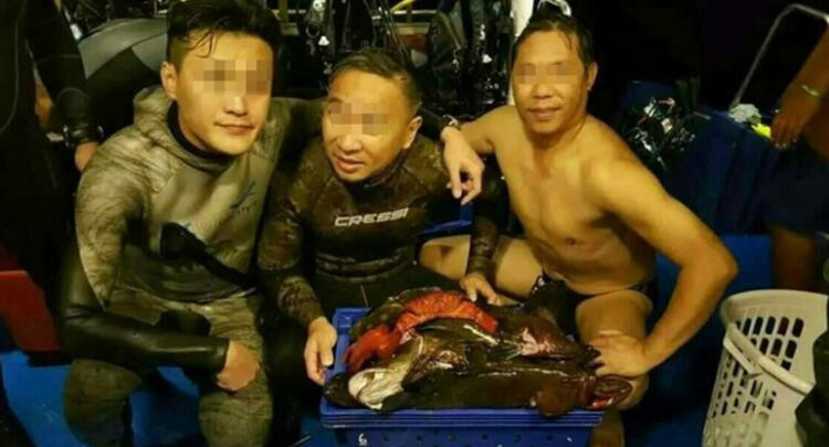 20中国游客擅闯泰国国家公园钓鱼抓虾