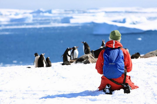 极地旅游市场需求井喷 高昂费用难挡游客猎奇