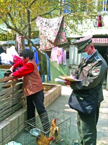 南京居民养家禽每只最高罚50 城管加大巡查力