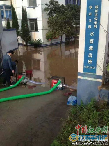 赣州强降雨导致多地积水严重 湖鱼被冲上街(图)