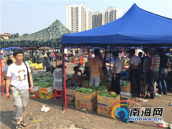 海口南北蔬菜市场暂未明码标价 摊贩称没接到通知