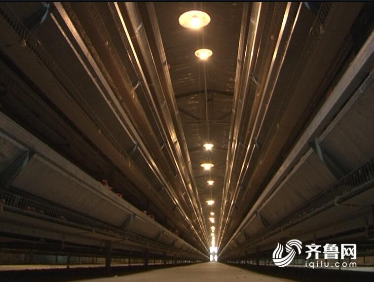 火箭蛋卷土重来返4元时代 养殖户:还得涨