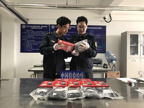 济南邮政口岸截获7.3kg海参 单批量创历史