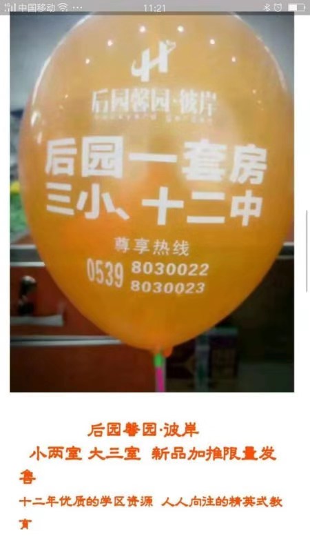 开发商卖楼时,宣传页上没有任何地方写有'公寓'这两个字眼.jpg