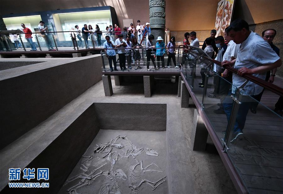 ���Ļ�����3����ׯ-�ƿ�������ַ����ݿ���