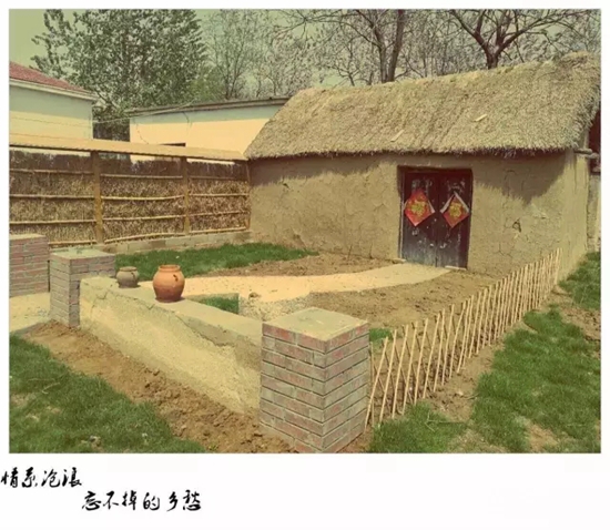 枣庄之约|香溢花田,探寻农家美味