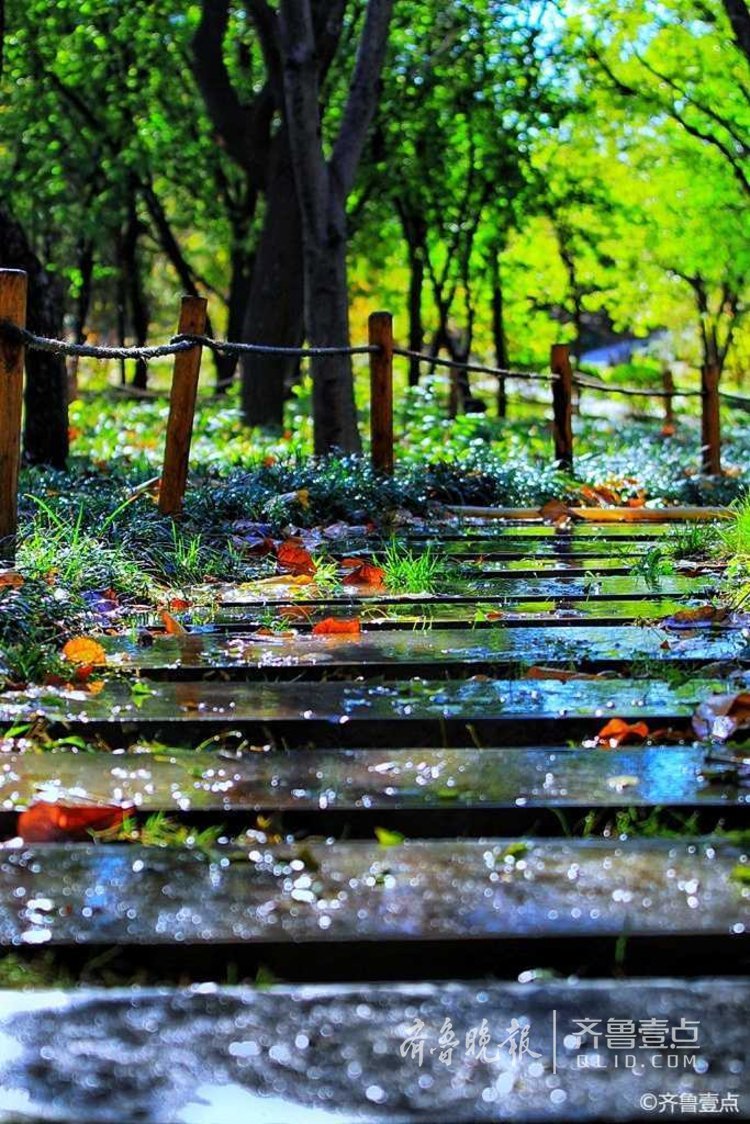 济南的秋天:雨夜尽显玲珑美
