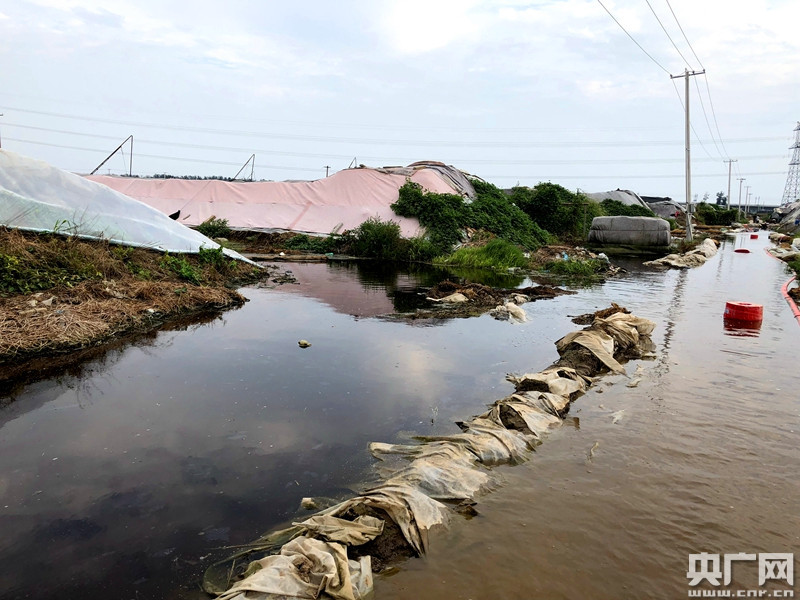 山东寿光洪灾第12天 记者实地探访救灾进展