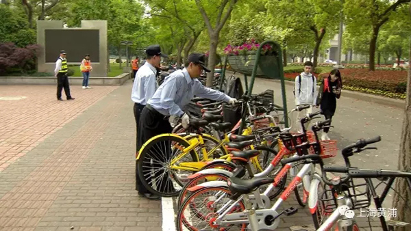 黄浦专项治理非机动车 共享单车占八成