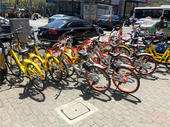 专家建议上海慢行交通系统规划