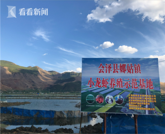 上海万亩小龙虾示范养殖基地落户云南