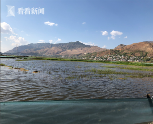 上海万亩小龙虾示范养殖基地落户云南