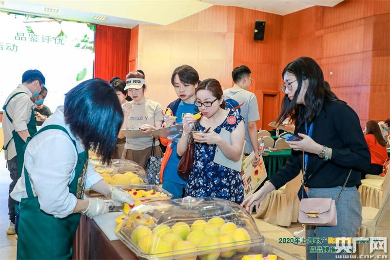 2020年8月上海别墅排名9_2020上海松江象屿上海年华独家消息!真相震惊整个