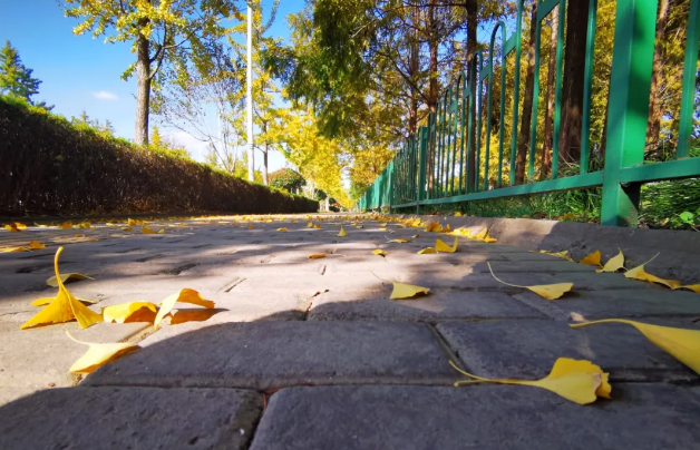 ΢Žͼ_20201111220925.png