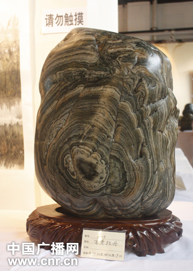 首届新疆石博会 石头也疯狂_首页地方新闻