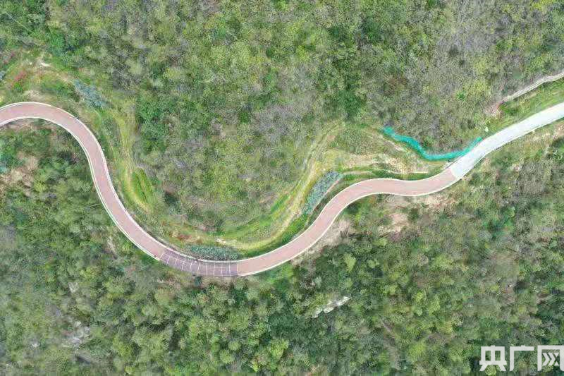 珠海板樟山山地步道钢结构合龙