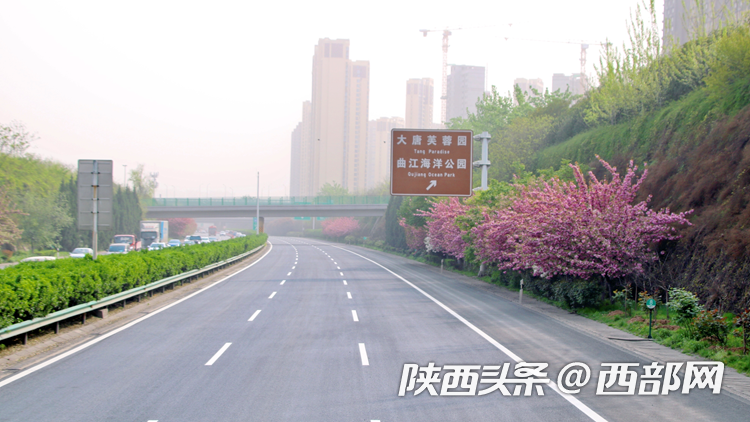 6b637c5bea6b4706146b908ce3e31cc7.png