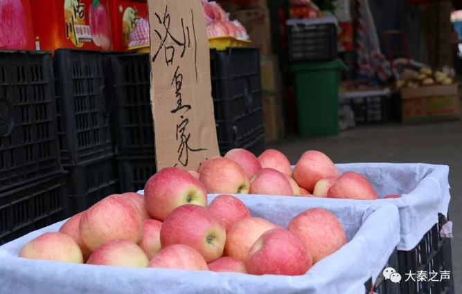 陕西苹果2018年减产了,怎么看?怎么办?