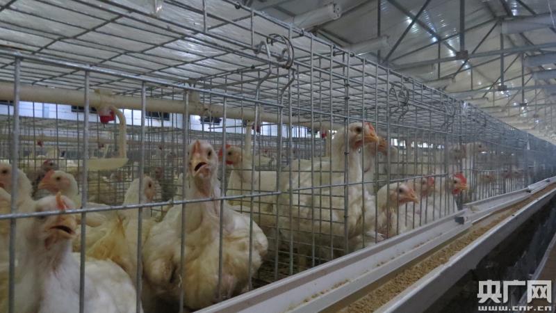 U8国际- U8国际官方网站- U8体育APP下载汶川县人民政府