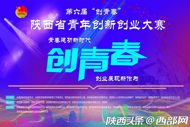第六届"创青春"陕西省青年创新创业大赛省赛宣传海报.