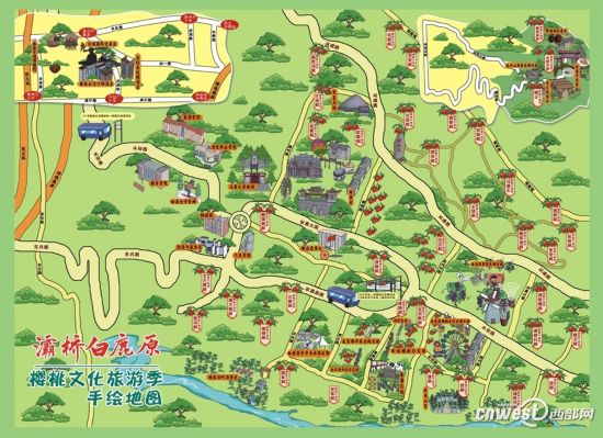灞桥区3万亩樱桃映红枝头达人手绘地图支招采摘_央广网