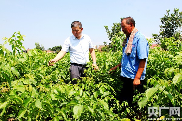 唱响三部曲 铺就小康路---扶风县深入推进农
