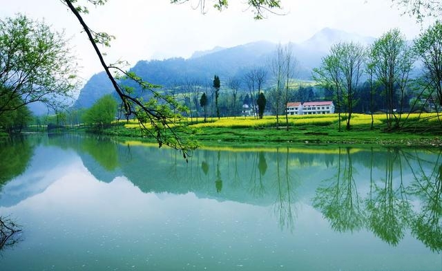 旅游“被套路”?就地“巡回法庭见”!