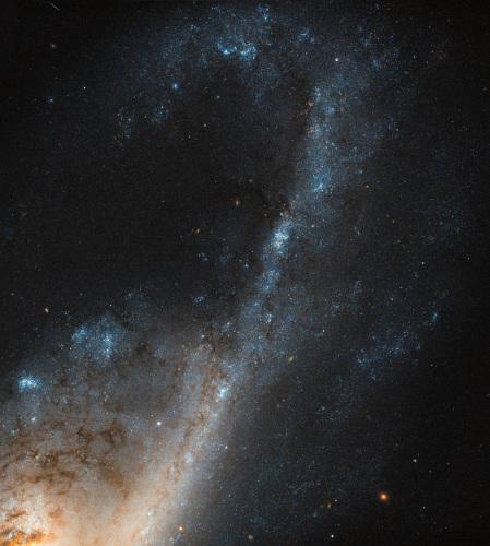  NGC 4536λڴŮԼ5000ꡣͼƬԴESA/NASA