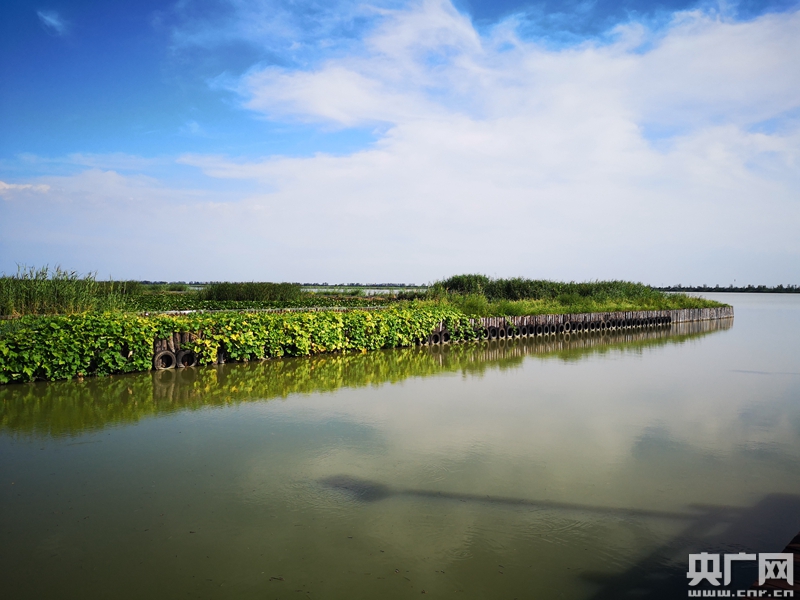 【风从海上来】从一周可接待20万游客到变无