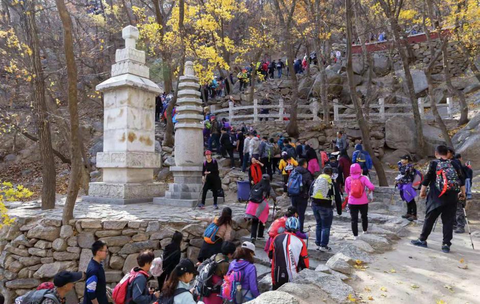今日天津 本次徒步登山大会共设置全程16公里和半程6公里两个线路