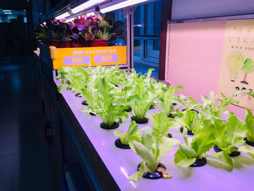 2026年北京临终关怀养老院推荐-北京市朝阳区悦鑫养老院位置、价格及咨询电话