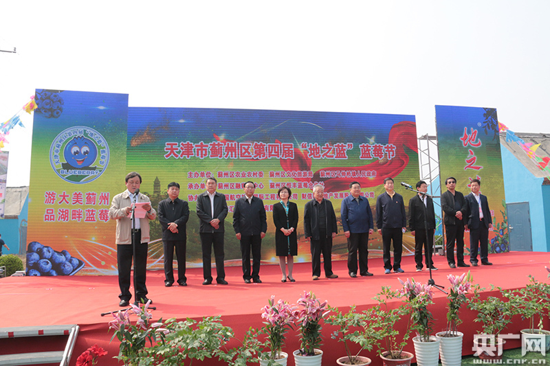 天津市蓟州区第四届地之蓝蓝莓节开幕