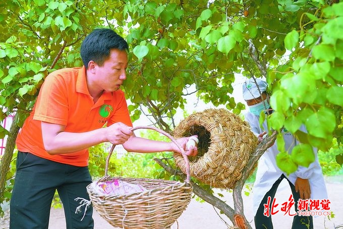 武平县晨晖云顶国际- 云顶赌场- 云顶娱乐城养鸡合作社
