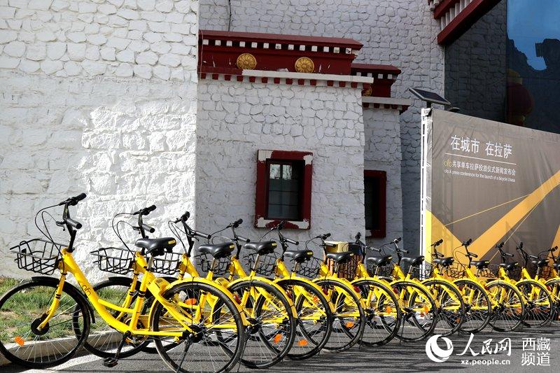 ofo小黄车来了!千辆共享单车投放拉萨