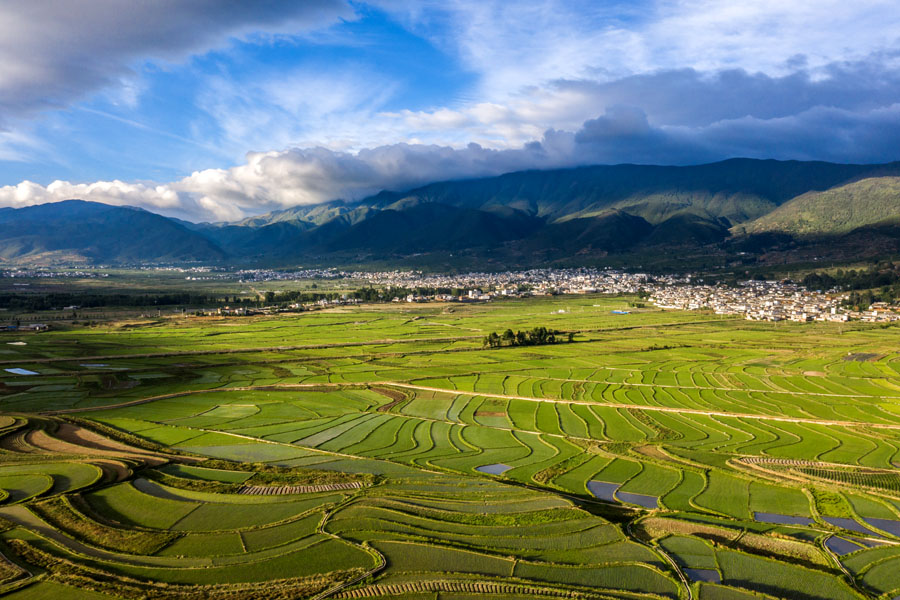 2020航海王强之路橙_小“橙”大梦|王强|冰糖橙|黔阳_新浪新闻(2)