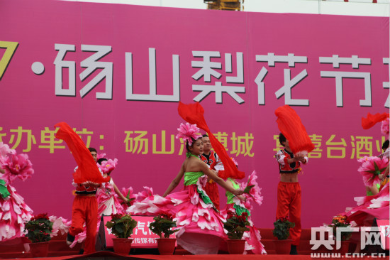 2017年中国砀山梨花节盛大开幕