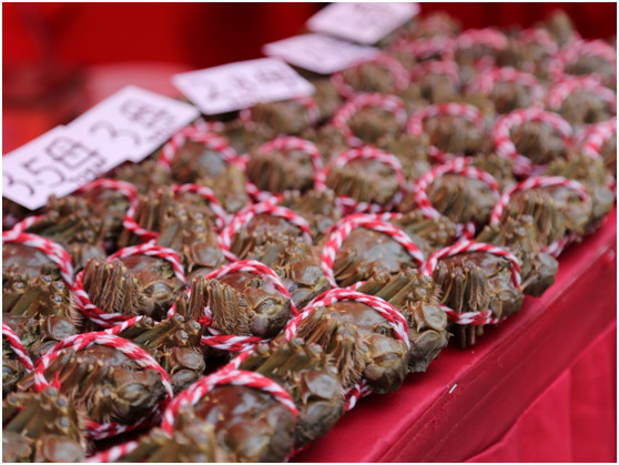 第六届中国·合肥(庐江)黄陂湖河蟹节隆重开幕