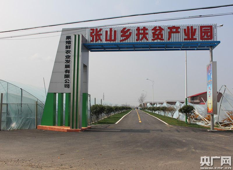 来安县张山镇打好"三大战役"全力攻坚产业扶贫