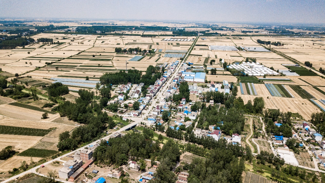 固镇县新马桥镇:给不甘人后搭一座桥