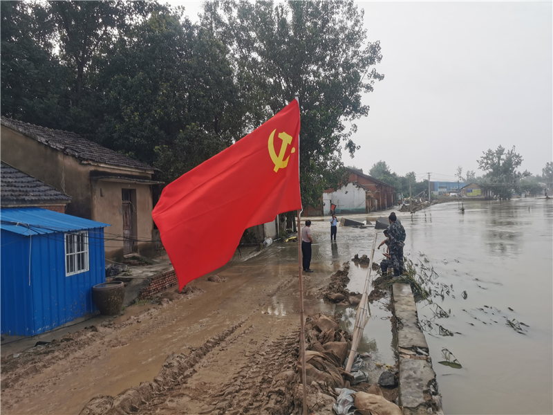 安徽全椒:党员干部显担当 战汛一线党旗红