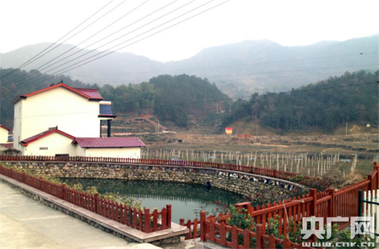 岳西县头陀镇梓树村