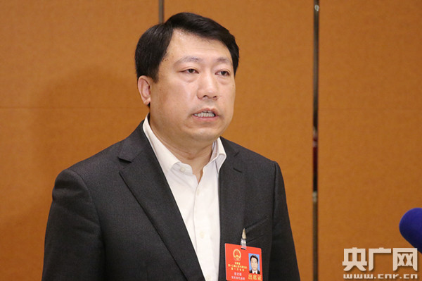 【两会同期声】人大代表张君毅:2018年安庆市将打好"三大攻坚战" 确保