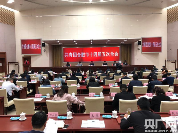 共青团合肥市十四届五次全会召开