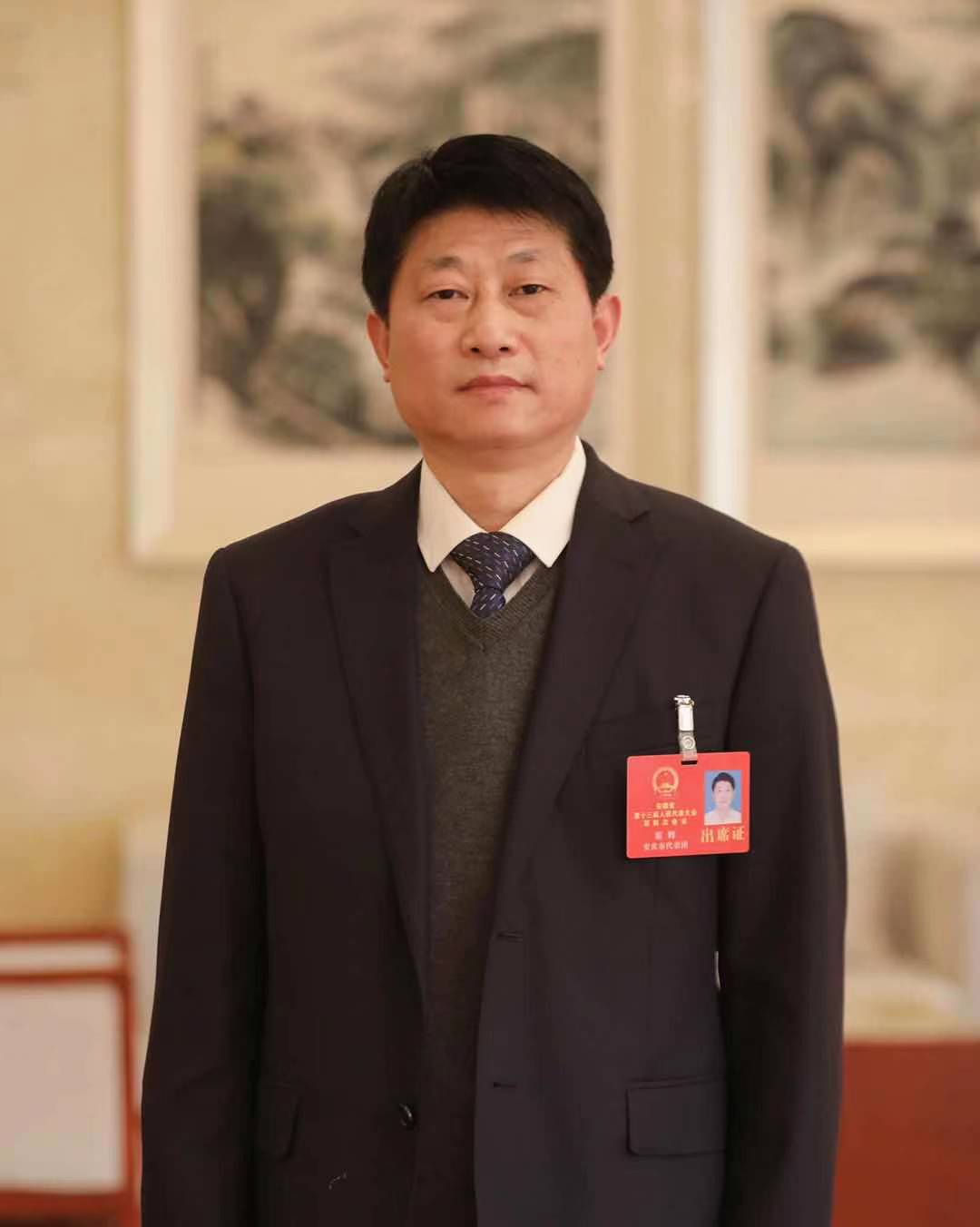 【"两会"代表委员说】安徽省人大代表霍辉:锻长板补短板 奋力作出新