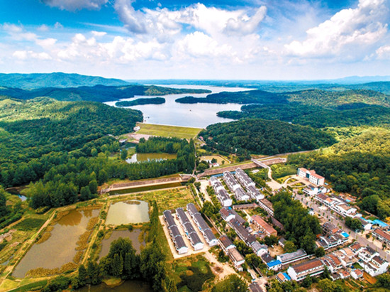 图片新闻        7月5日,航拍的全椒县石沛镇黄栗树村全景.